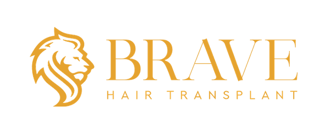 Brave Hair Transplant logosu